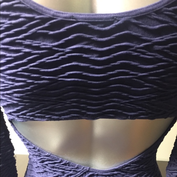 Small purple body on dress. - Picture 2 of 5