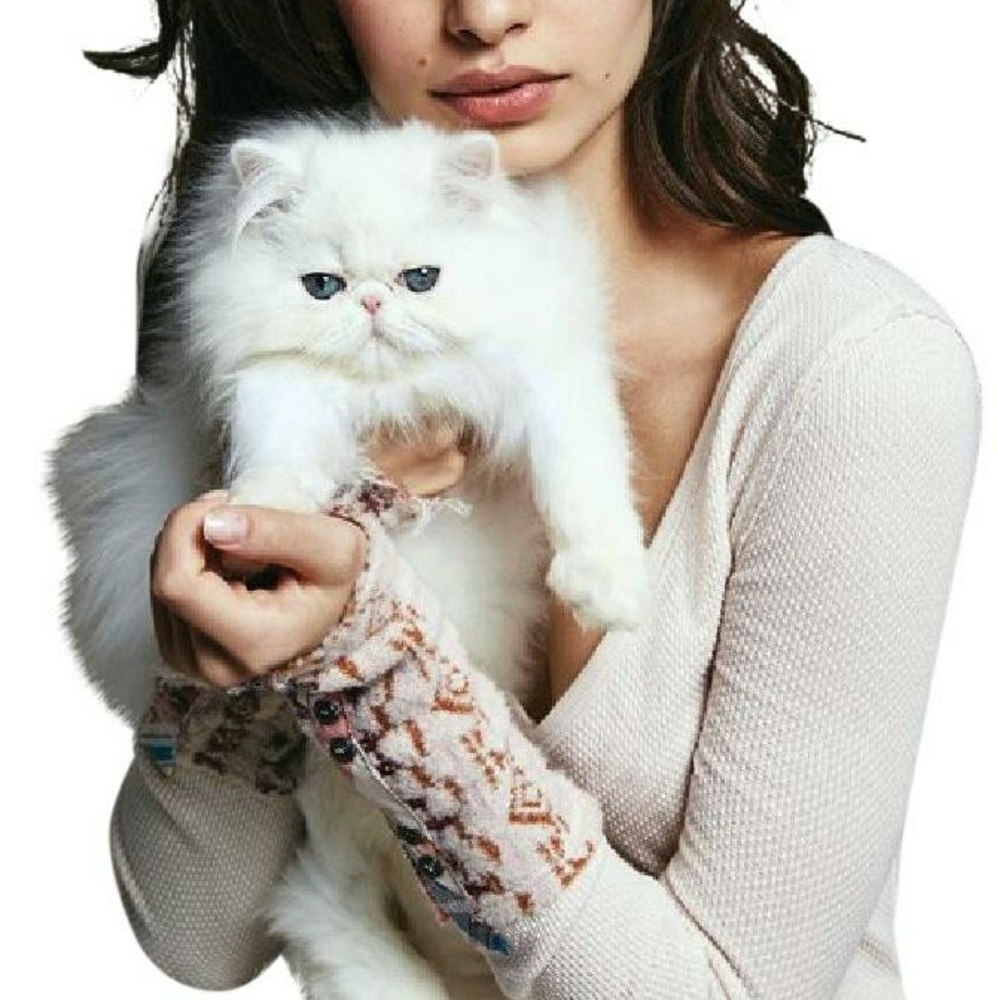 Free People NWT Art School Cuff Top