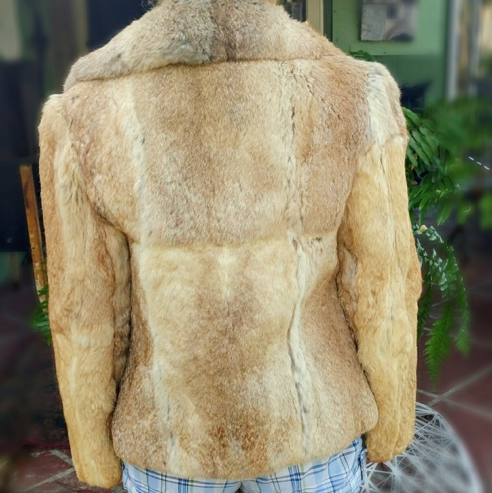 Dino Ricco's Vintage Rabbit Fur Coat - Picture 2 of 7