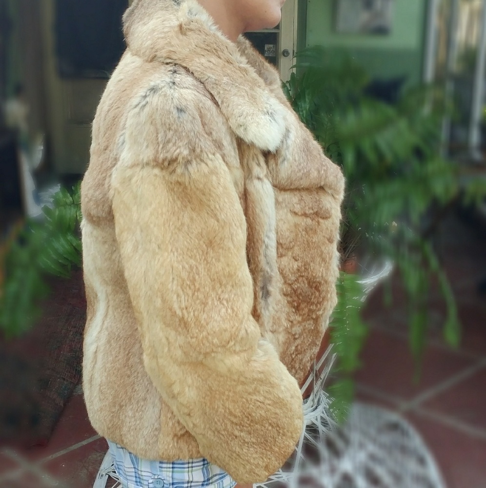 Dino Ricco's Vintage Rabbit Fur Coat - Picture 4 of 7