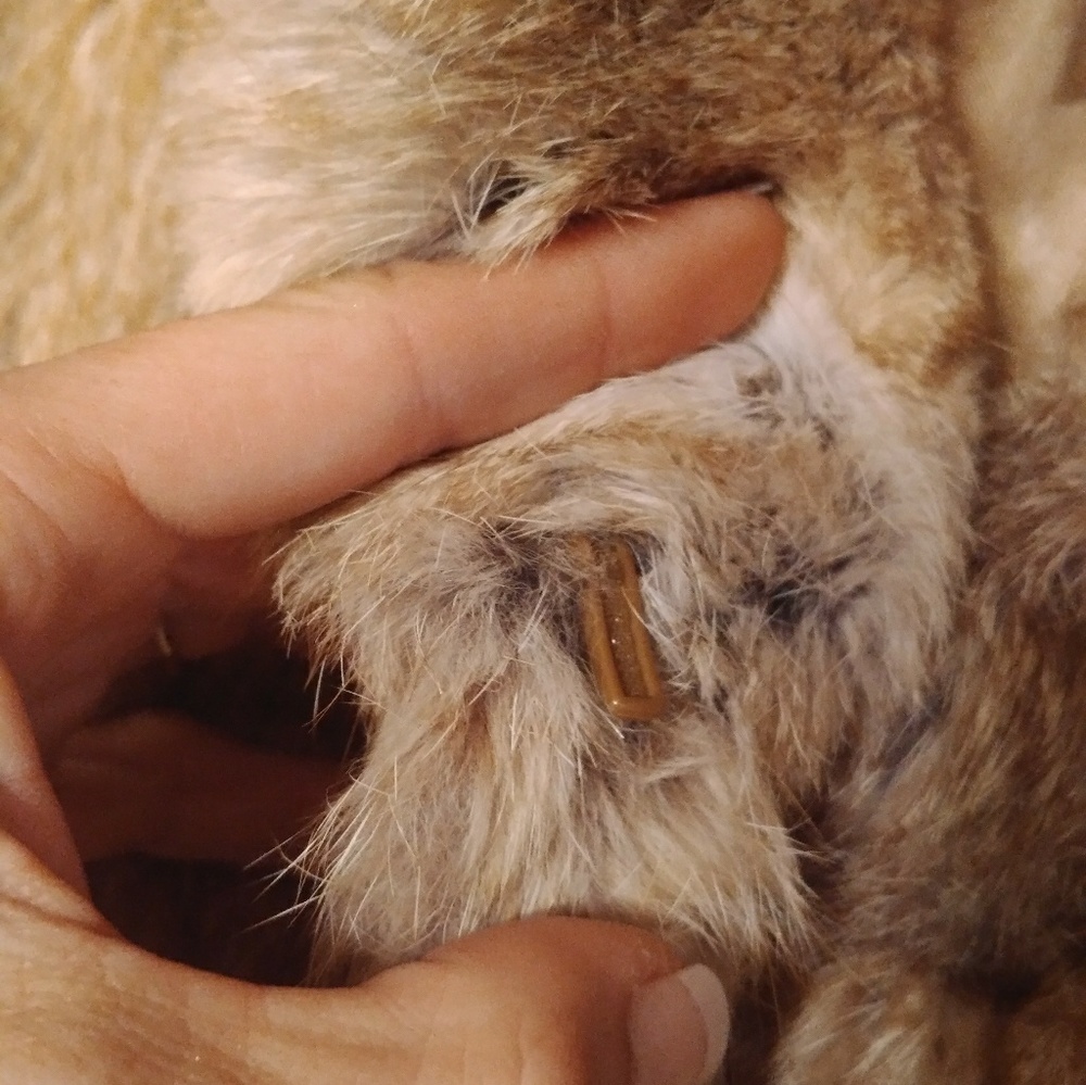 Dino Ricco's Vintage Rabbit Fur Coat - Picture 6 of 7