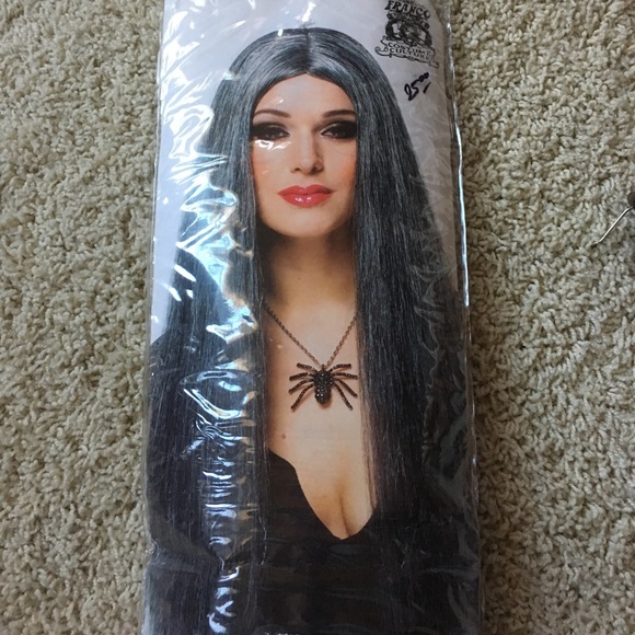 26" long gray wig Halloween witch - Picture 2 of 2