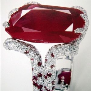 Ruby silver 925 ring 925 13.23 ct