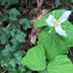 Meet your Posher, Christie