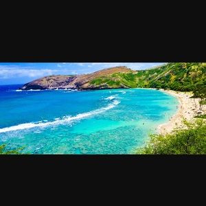 Meet your Posher, Eliza