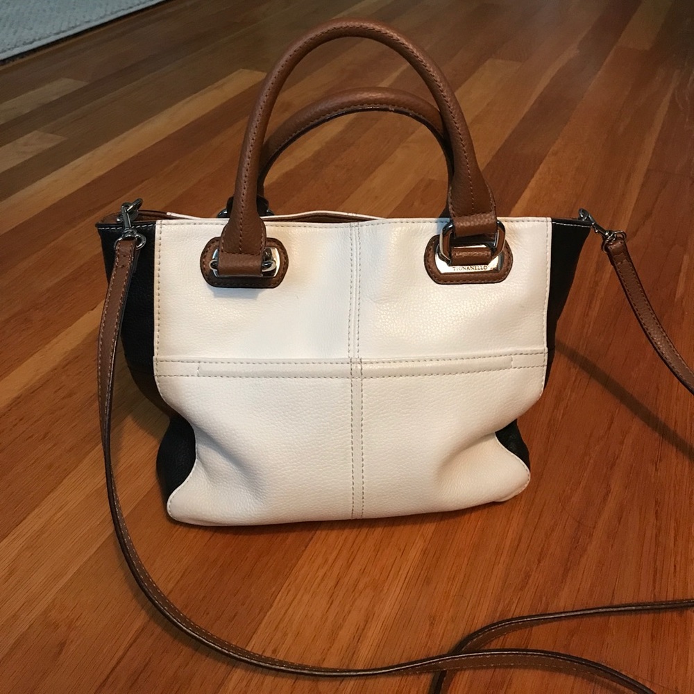 Tignanello Colorblock Leather Satchel