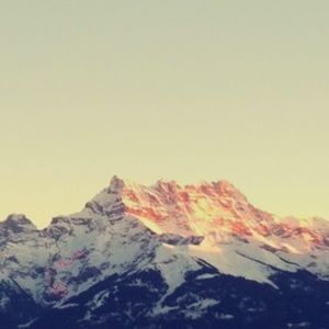 Meet your Posher, Omar