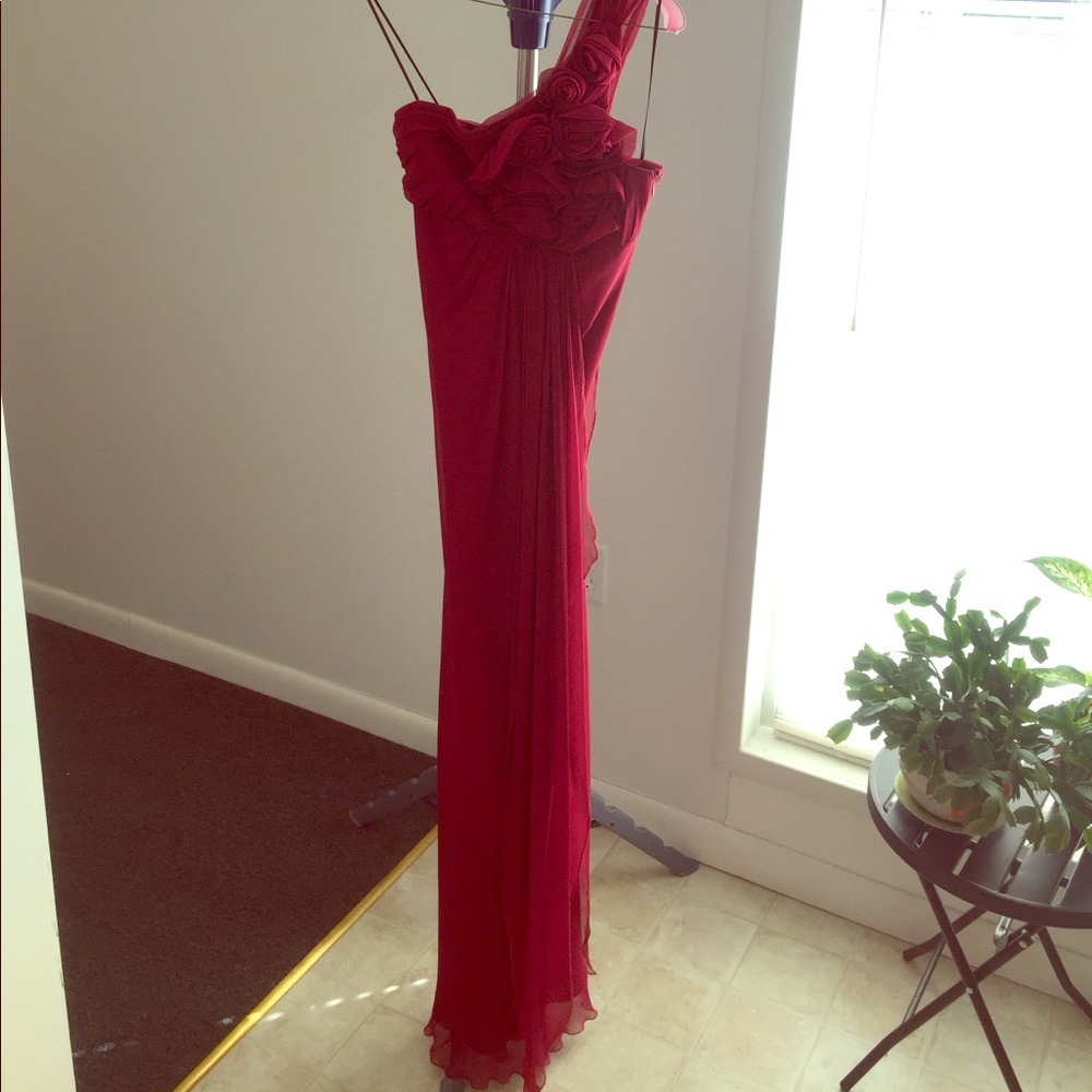 Silk Cranberry Red Rose 🌹 gown