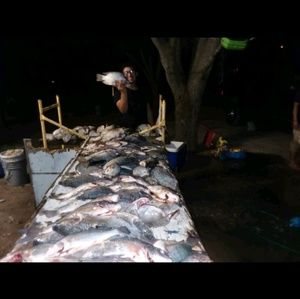 Meet your Posher, Roman