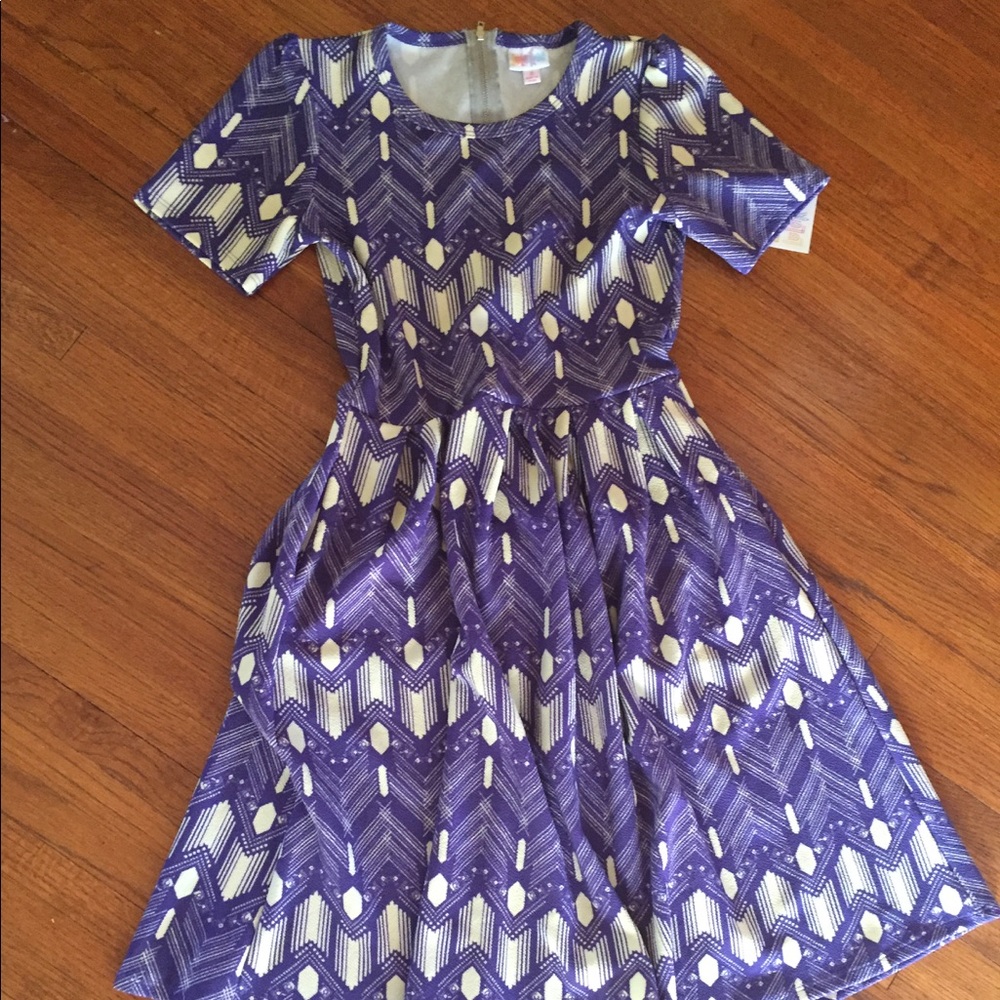 Gorgeous Lularoe Amelia