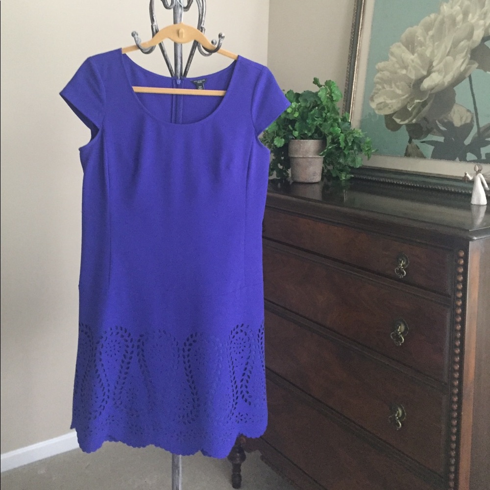 Ann Taylor Dress
