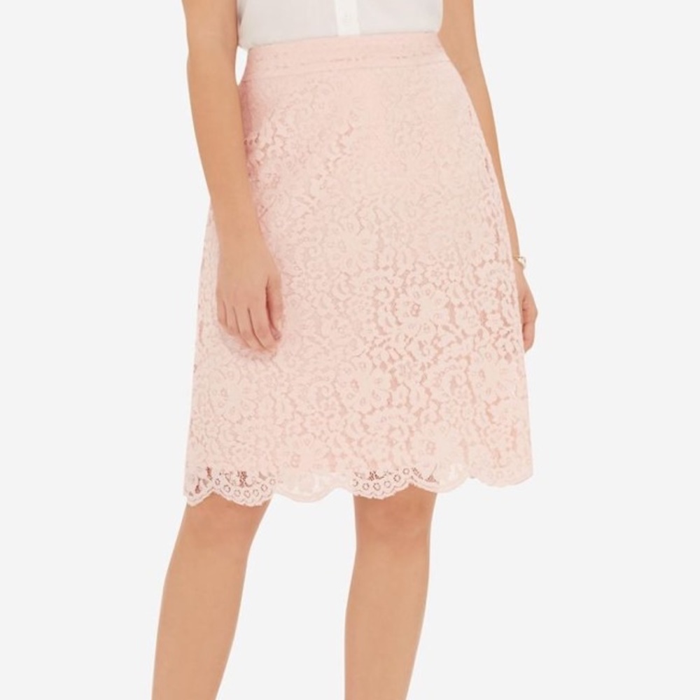 THE LIMITED blush pink scallop hemmed lace skirt