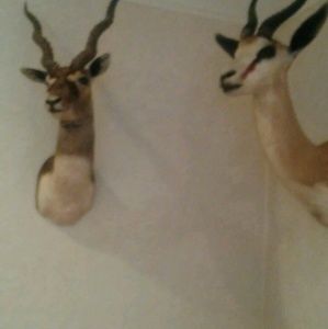 Meet your Posher, Timothy