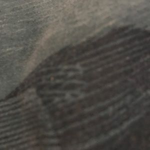 Meet your Posher, Cesar