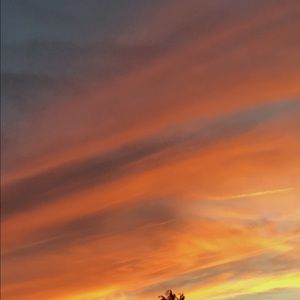 Meet your Posher, Naz