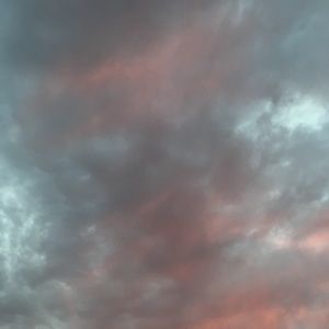 Meet your Posher, Dani