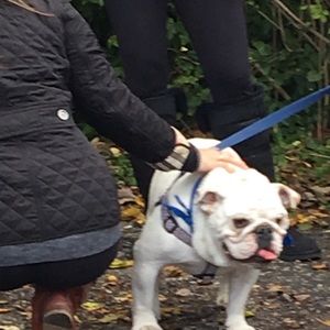 Meet your Posher, Jami