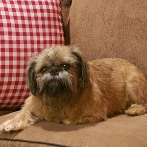 Meet your Posher, Christina