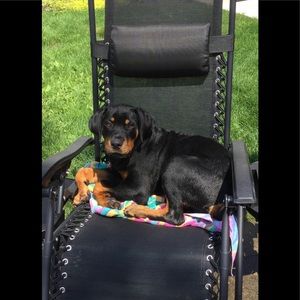 Meet your Posher, Darlene