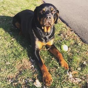 Meet your Posher, Christopher