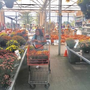 Meet your Posher, Maria