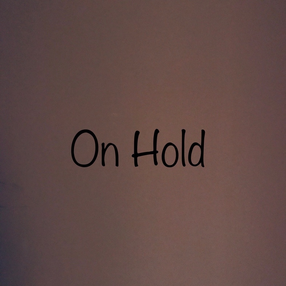 Authentic Louis Vuitton Belt