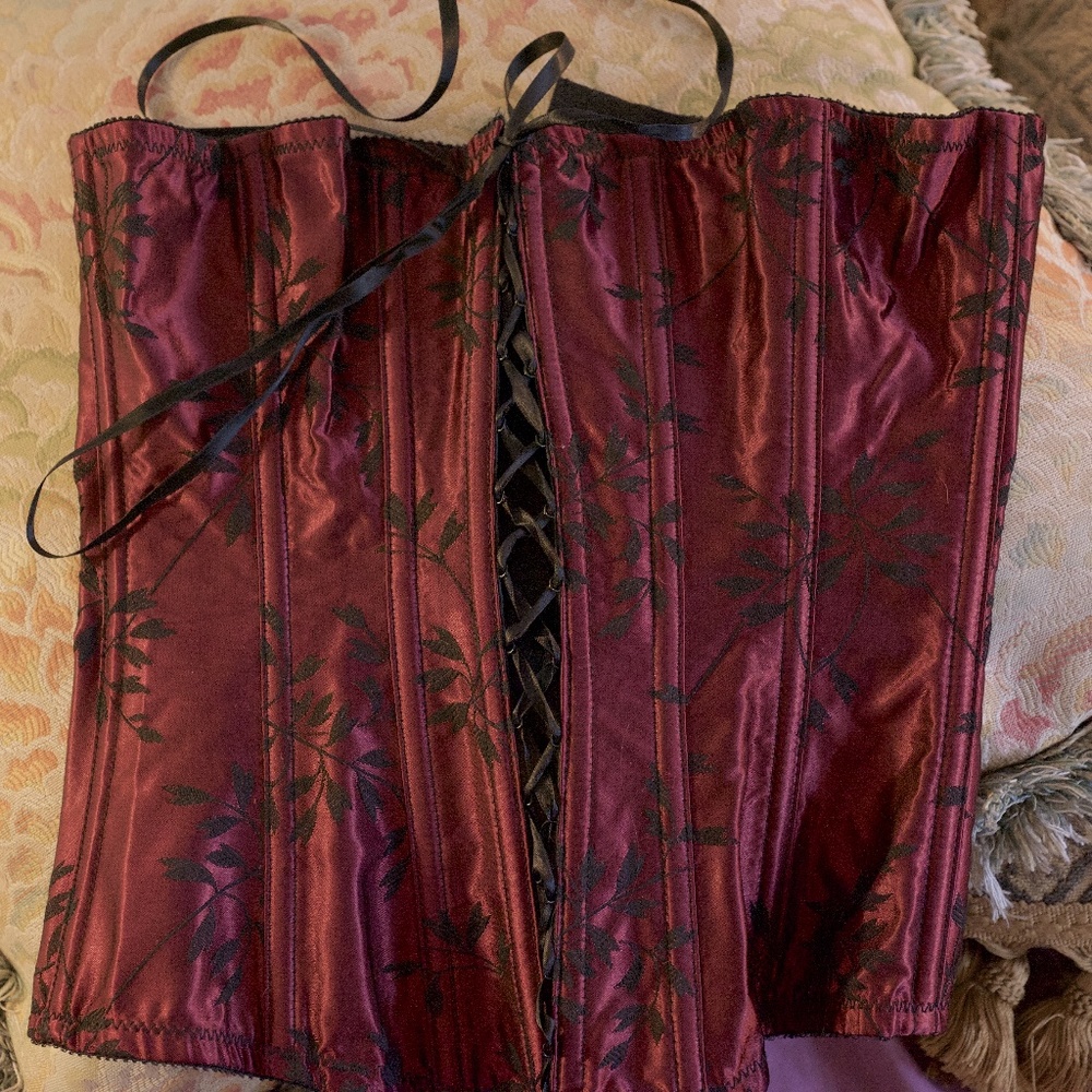 Raspberry Satin Corset Black Floral Embroidered
