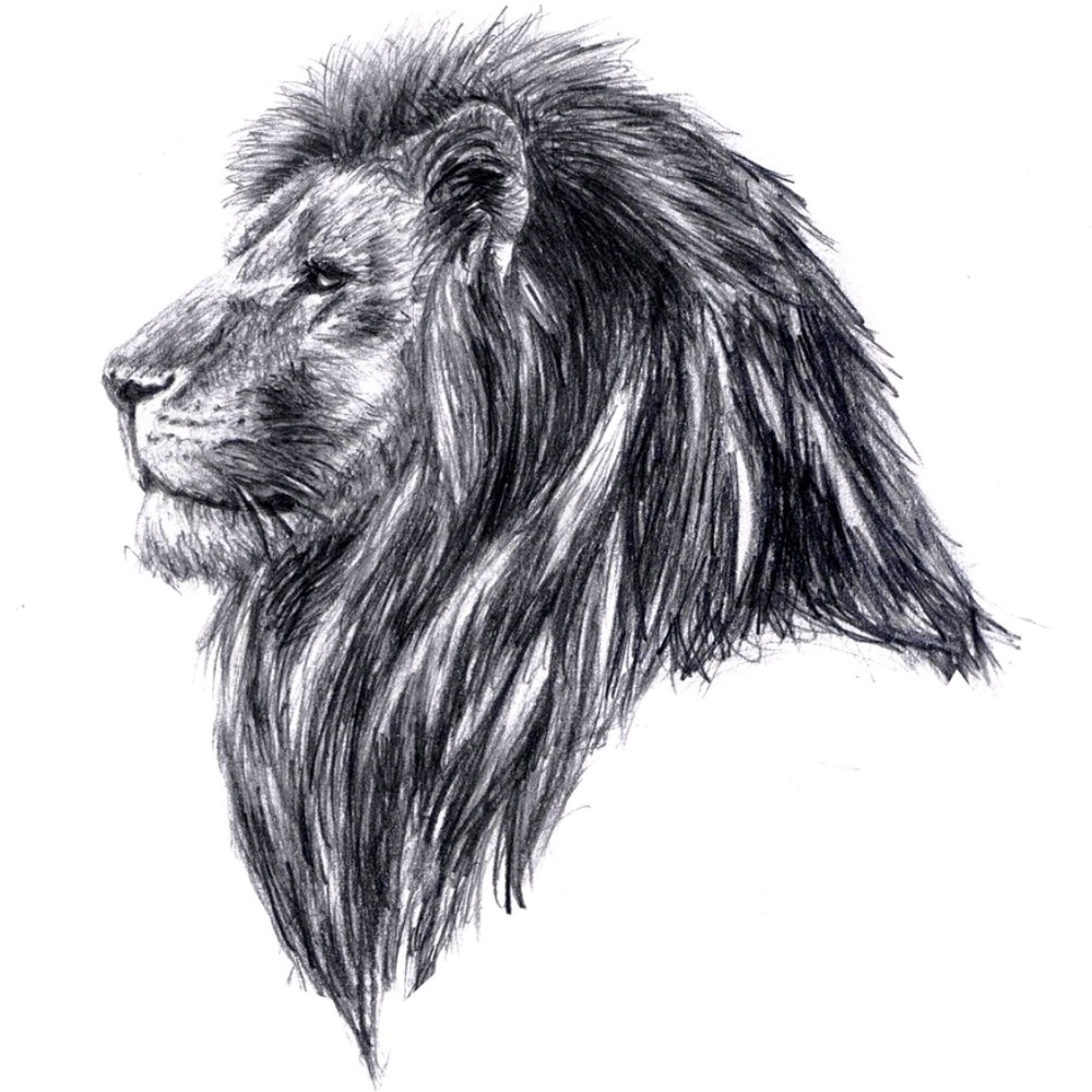 Meet your Posher, Eli