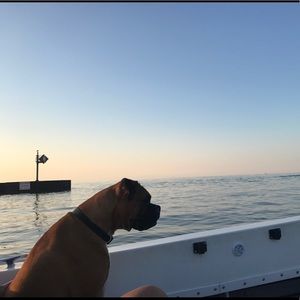 Meet your Posher, Alexis