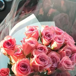 Meet your Posher, Karina