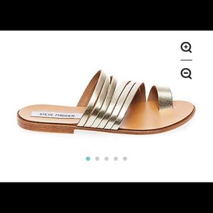 Steve Madden Morgan Sandals
