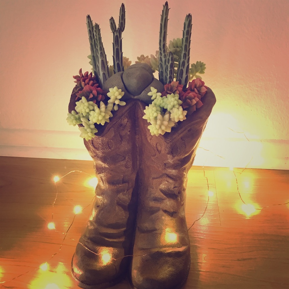 fairyland of succulents.✨✨✨💗