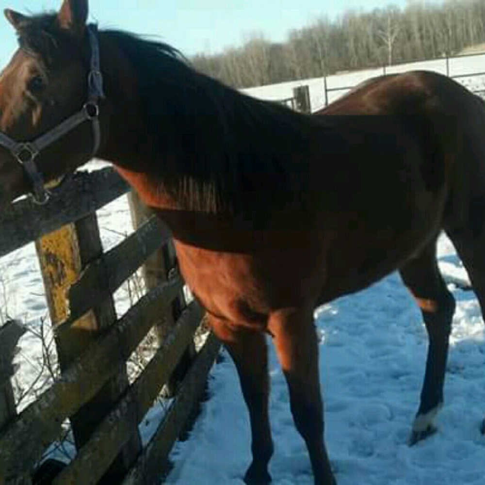 Meet your Posher, Mayra