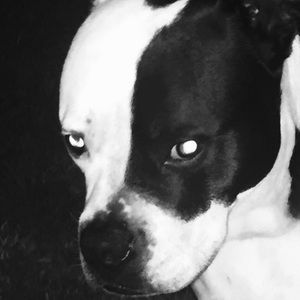 Meet your Posher, Deanna