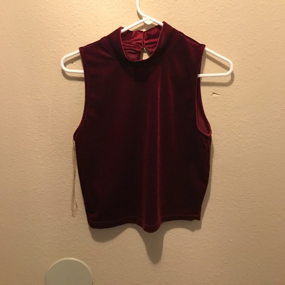 Maroon Velvet mock neck crop top