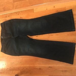 Loft Curvy Flare Jeans