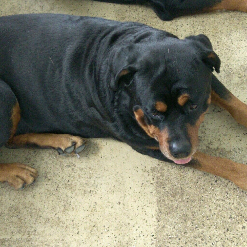 Meet your Posher, Nathan