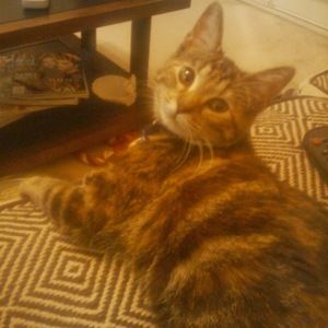 Meet your Posher, Katie