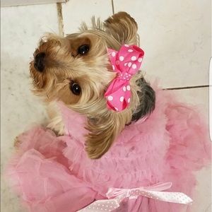 Meet your Posher, Karina