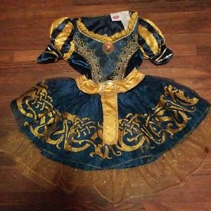 Disney's Brave costume
