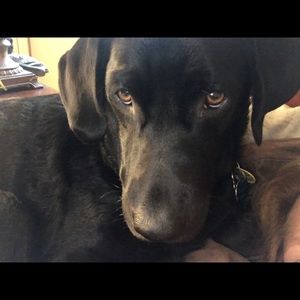 Meet your Posher, Mandy