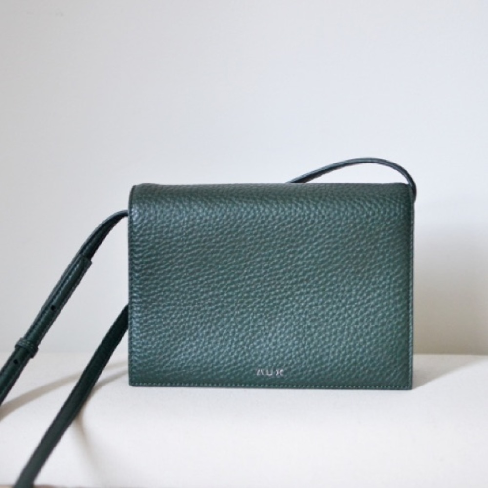 Aritzia Auxiliary Calisch Cross Body Bag