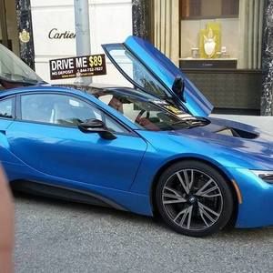 Meet your Posher, Hector