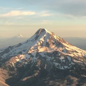 Meet your Posher, Brock