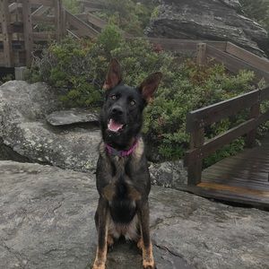 Meet your Posher, Alex