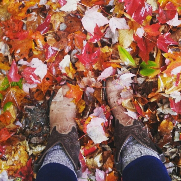 Have a Blessed Day 🌻 - Picture 2 of 13