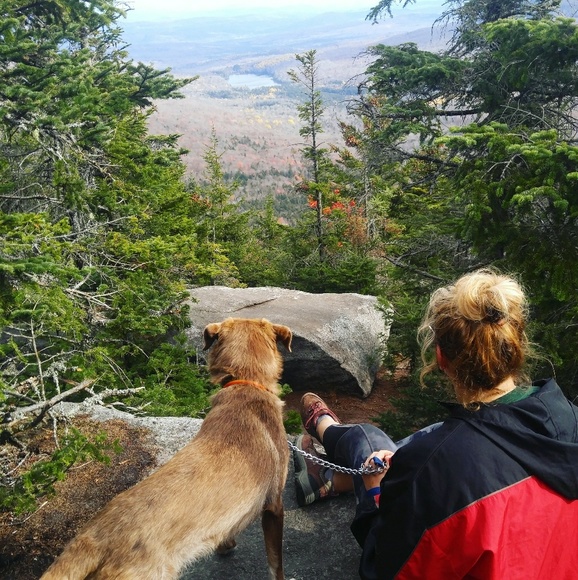 Have a Blessed Day 🌻 - Picture 3 of 13