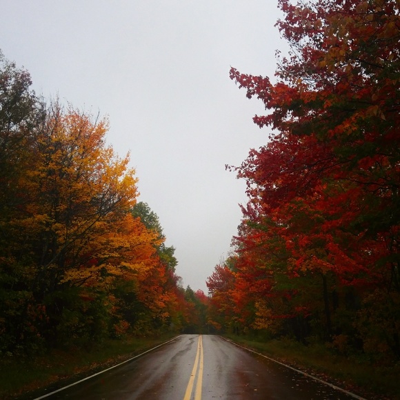 Have a Blessed Day 🌻 - Picture 4 of 13