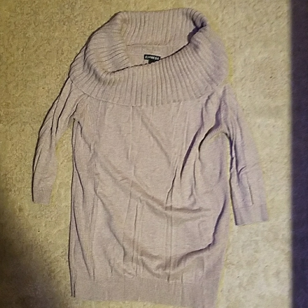 Express wide turtleneck sweater