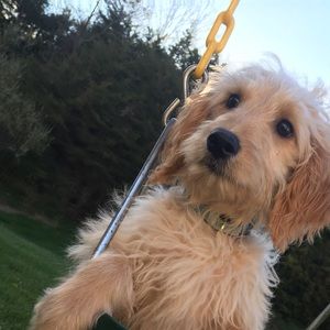 Meet your Posher, Alejandra